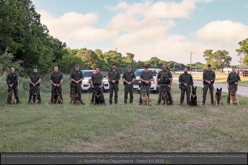 K 9 Unit